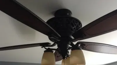 Ceiling Fan Photo